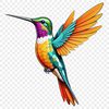 A clear illustration of a hummingbird against a transparent background, suitable for commercial and personal use.