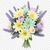 A colorful arrangement of flowers in a bouquet on a transparent background.