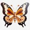 Iridescent Wings Free to Use PNG File A colorful insect with iridescent wings on a transparent background.