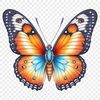 Vibrant Butterfly Illustration with Transparent Background Colorful butterfly illustration with transparent background for commercial or personal use.