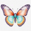 Delicate Insect Design Element A colorful, high-resolution PNG image of a detailed butterfly with transparent background.