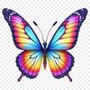 Colorful Winged Insect Image A colorful, high-resolution butterfly with transparent background, suitable for sublimation printing.