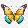 Delicate Winged Friend Colorful insect with distinctive wings, suitable for various graphic designs.