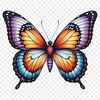 Colorful Insect Wing Pattern Design A colorful butterfly with intricate patterns spreads its wings against a clear background.