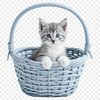 A high-resolution kitten basket with a clear background suitable for commercial or personal use.