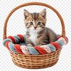 A colorful kitten sitting in a woven basket on a transparent background.