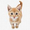 A small, adorable kitten with a clear transparent background, suitable for sublimation and print.