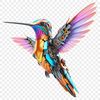 Close-up illustration of a hummingbird with clear background in high resolution PNG format.