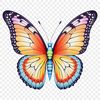 A colorful insect with delicate wings, suitable for commercial or personal use.