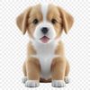 Small Pup with a Big Personality A small dog with a cute face and fluffy fur.