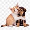 Adorable Mutt Kitten Mix A digital illustration of a cute puppy kitten with a clear background, suitable for personal or commercial use.