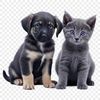 Cute Puppy Kitten Duo PNG A high-resolution transparent illustration of a playful puppy and kitten sitting together on a clear background.