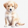 Playful Puppy Image for Commercial Use A free, downloadable PNG image of a playful puppy in a clear background, suitable for commercial use and personal projects.