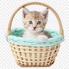 A transparent PNG image of a colorful kitten sitting in a woven basket.