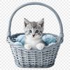 A small, adorable kitten sitting in a woven basket, ideal for personal and commercial use as clipart or template.
