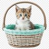 A clear background PNG graphic featuring a cute kitten lounging in a colorful basket.