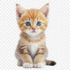 A clear background illustration of a domesticated cat in its early stage of development.