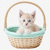 A transparent kitten sits in a decorative basket with a clear background, suitable for sublimation printing.