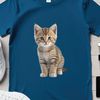Adorable Transparent Kitty Graphics A cute, high-resolution image of a kitten with a clear transparent background.