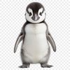 A small, adorable penguin chick perched on a snow-covered iceberg.