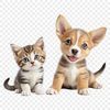 A high-resolution transparent image of a puppy kitten with a clear background.