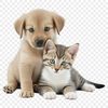 Cute Furry Friends PNG Image High-resolution transparent image of a puppy kitten with clear background suitable for commercial and personal use.