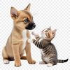 High-Res Animal Illustration A high-resolution illustration of a playful puppy and kitten in a single PNG file.