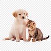 An illustration of a furry puppy and kitten duo with clear resolution suitable for print quality.