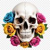 Clear Skull Graphic on White Background A clear transparent skull graphic with a white background.