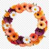 Free Floral Wreath Clipart Download A high-resolution floral wreath made from transparent flowers on a clear background, suitable for commercial use.