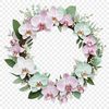 High Res Flower Wreath PNG A high-resolution floral wreath made up of various flowers and foliage, suitable for commercial or personal use.