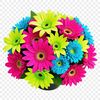 A transparent PNG image of a colorful bouquet of flowers in high resolution, ideal for commercial or personal use.