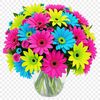 A high-resolution PNG image of a colorful bouquet of flowers with clear background.