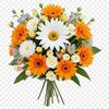 A high-resolution bouquet of flowers with a clear background, ideal for commercial or personal use in various designs.