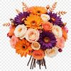 A collection of colorful flowers arranged in a bouquets, suitable for commercial or personal use.