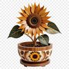 A single sunflower plant in a white flower pot against a clear background.