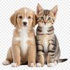 Cute Animal Friends PNG Image A high-resolution PNG image featuring a cute puppy and kitten together.