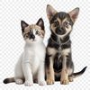Adorable Furry Friends Sitting Together A cute puppy and kitten sitting together on a transparent background.