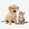 Cute Companion Animals An illustration of a playful puppy and kitten side by side in high resolution PNG format.