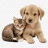 A puppy and kitten sitting together on a clear background.