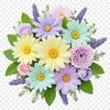 A transparent bouquet of flowers with a clear background, suitable for sublimation printing.