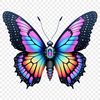 Clear Background Butterfly Graphic A colorful, high-resolution illustration of a butterfly with a clear background.