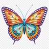 Colorful Wings Graphic A colorful insect with delicate wings, suitable for print or digital use.