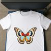 Transparent Butterfly PNG A high-resolution transparent PNG file of a colorful butterfly on a clear background.