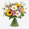 A high-resolution bouquet of colorful flowers with clear background, suitable for print and commercial use.
