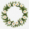 A high-resolution floral wreath with a clear background, suitable for commercial or personal use.