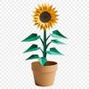Free High-Res Flower Icon A high-resolution transparent PNG image of a single sunflower with a clear background, ideal for commercial and personal use.