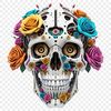 A transparent skull illustration in a clear background.