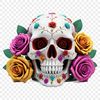 A clear, transparent PNG image of a skull with a subtle floral pattern.