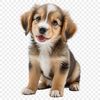 High Resolution Animal PNG File A small, adorable puppy with a clear background.
